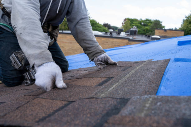Best Roof Leak Repair  in Mount Vernon, IN